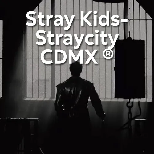 Experiencia 25 septiembre Stray Kids-StraycityCDMX Box Oro Estadio GNP CDMX + Estacionamiento